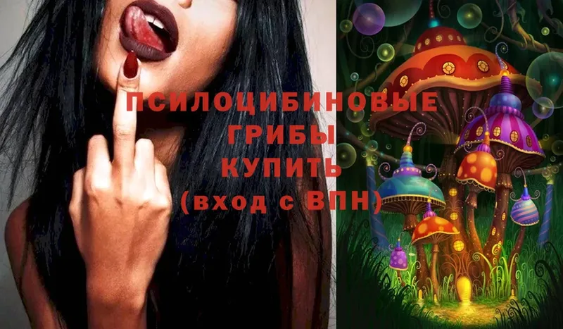 Галлюциногенные грибы мухоморы  OMG как войти  Бобров 